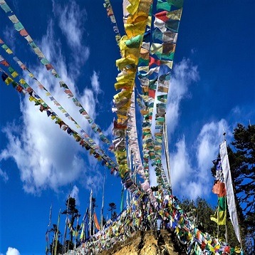 Bumthang Owl Trek